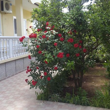 Apartments Branko ซาดาร์ ภายนอก รูปภาพ